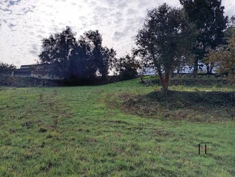 Terreno Rústico  Venda em Recardães e Espinhel,Águeda