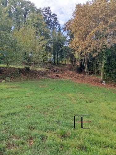 Terreno Rústico  Venda em Recardães e Espinhel,Águeda