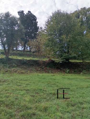 Terreno Rústico  Venda em Recardães e Espinhel,Águeda