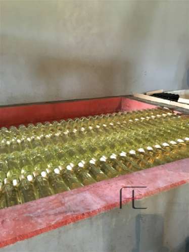 Quinta T4 Venda em Fontes,Santa Marta de Penaguião