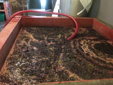 Quinta T4 Venda em Fontes,Santa Marta de Penaguião