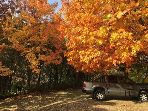 Quinta T4 Venda em Fontes,Santa Marta de Penaguião