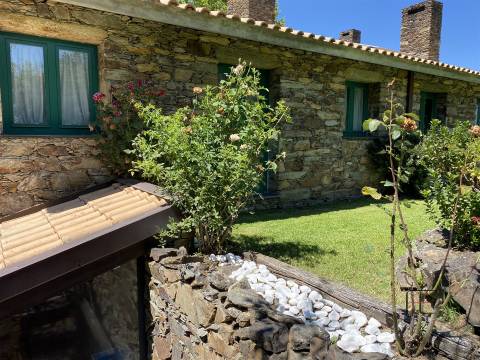 Quinta T4 Venda em Fontes,Santa Marta de Penaguião