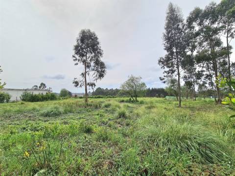 Terrenos em Rio Meão, Retoma de Banco