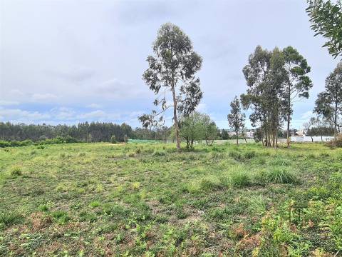 Terrenos em Rio Meão, Retoma de Banco
