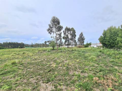 Terrenos em Rio Meão, Retoma de Banco