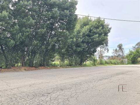 Terrenos em Rio Meão, Retoma de Banco