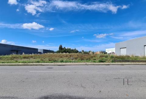 Expansão Garantida: Terreno Industrial Premium em Ovar