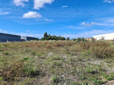 Expansão Garantida: Terreno Industrial Premium em Ovar