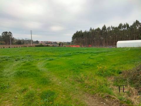 Lote de Terreno  Venda em Guilhabreu,Vila do Conde