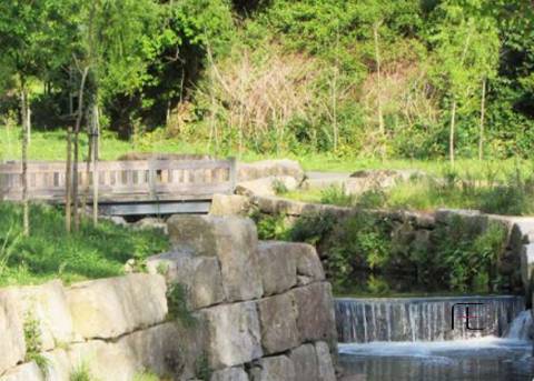 Apartamento T2 Venda em Campanhã,Porto