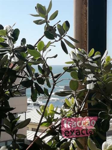 Apartamento T2 Arrendamento em Aldoar, Foz do Douro e Nevogilde,Porto