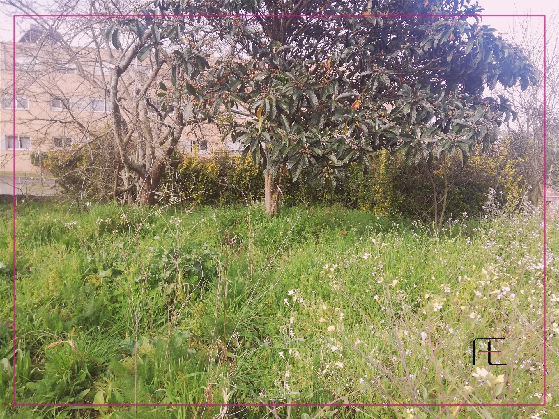 Terreno Urbano  Venda em Custóias, Leça do Balio e Guifões,Matosinhos