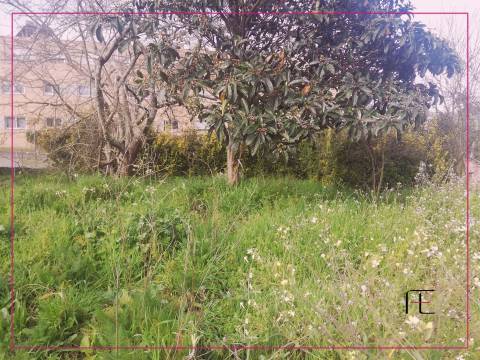 Terreno Urbano  Venda em Custóias, Leça do Balio e Guifões,Matosinhos