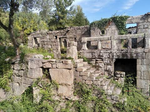 Herdade  Venda em Boelhe,Penafiel