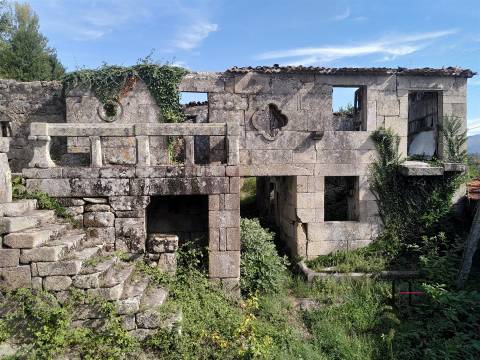 Herdade  Venda em Boelhe,Penafiel