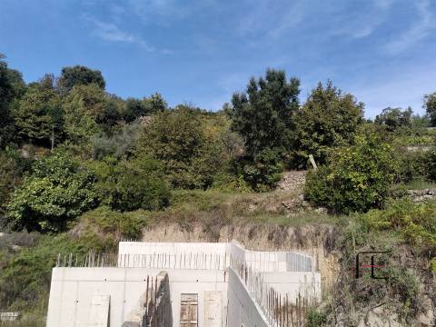 Herdade  Venda em Boelhe,Penafiel