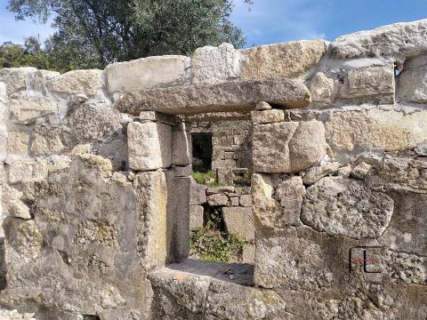 Herdade  Venda em Boelhe,Penafiel