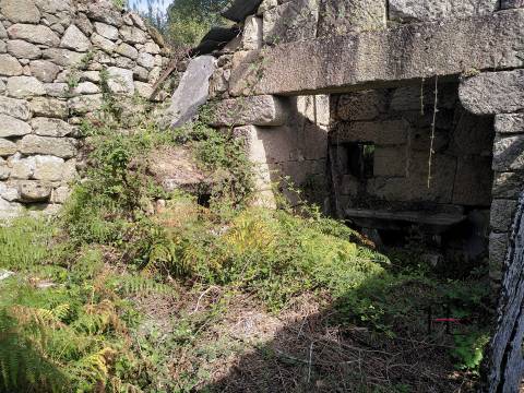 Herdade  Venda em Boelhe,Penafiel