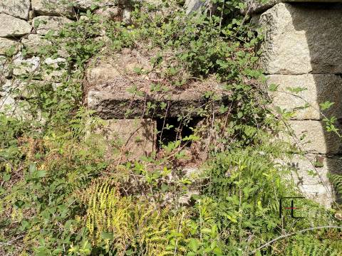 Herdade  Venda em Boelhe,Penafiel