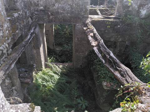Herdade  Venda em Boelhe,Penafiel