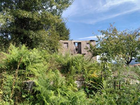 Herdade  Venda em Boelhe,Penafiel