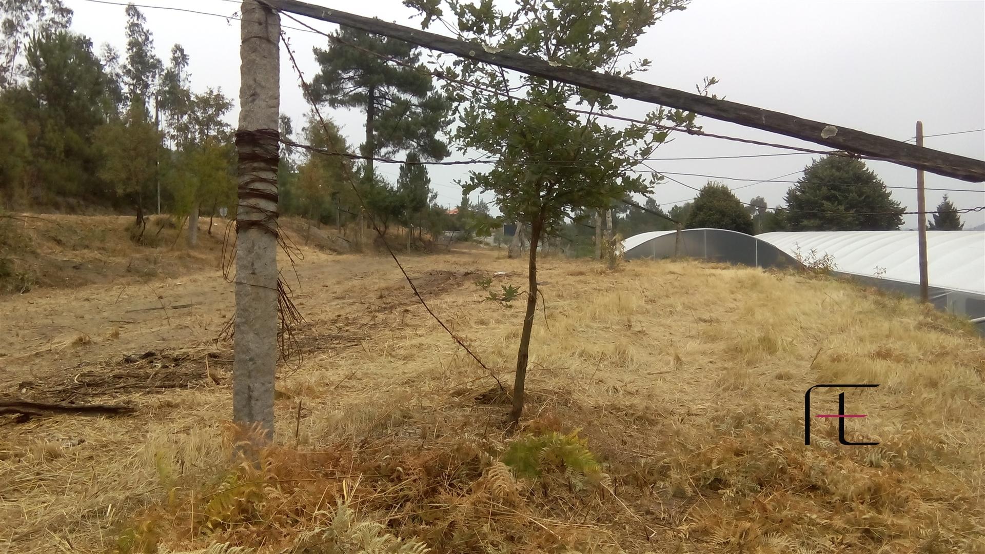 Terreno Para Construção  Venda em Vila Caiz,Amarante