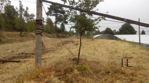 Terreno Para Construção  Venda em Vila Caiz,Amarante