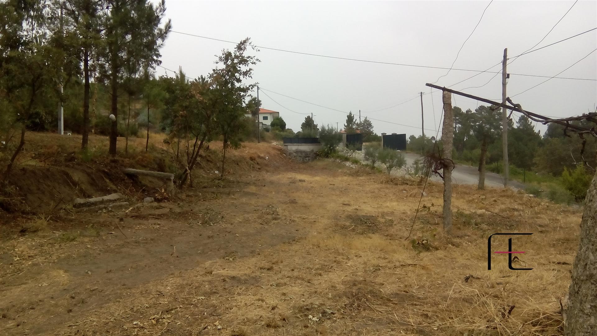 Terreno Para Construção  Venda em Vila Caiz,Amarante