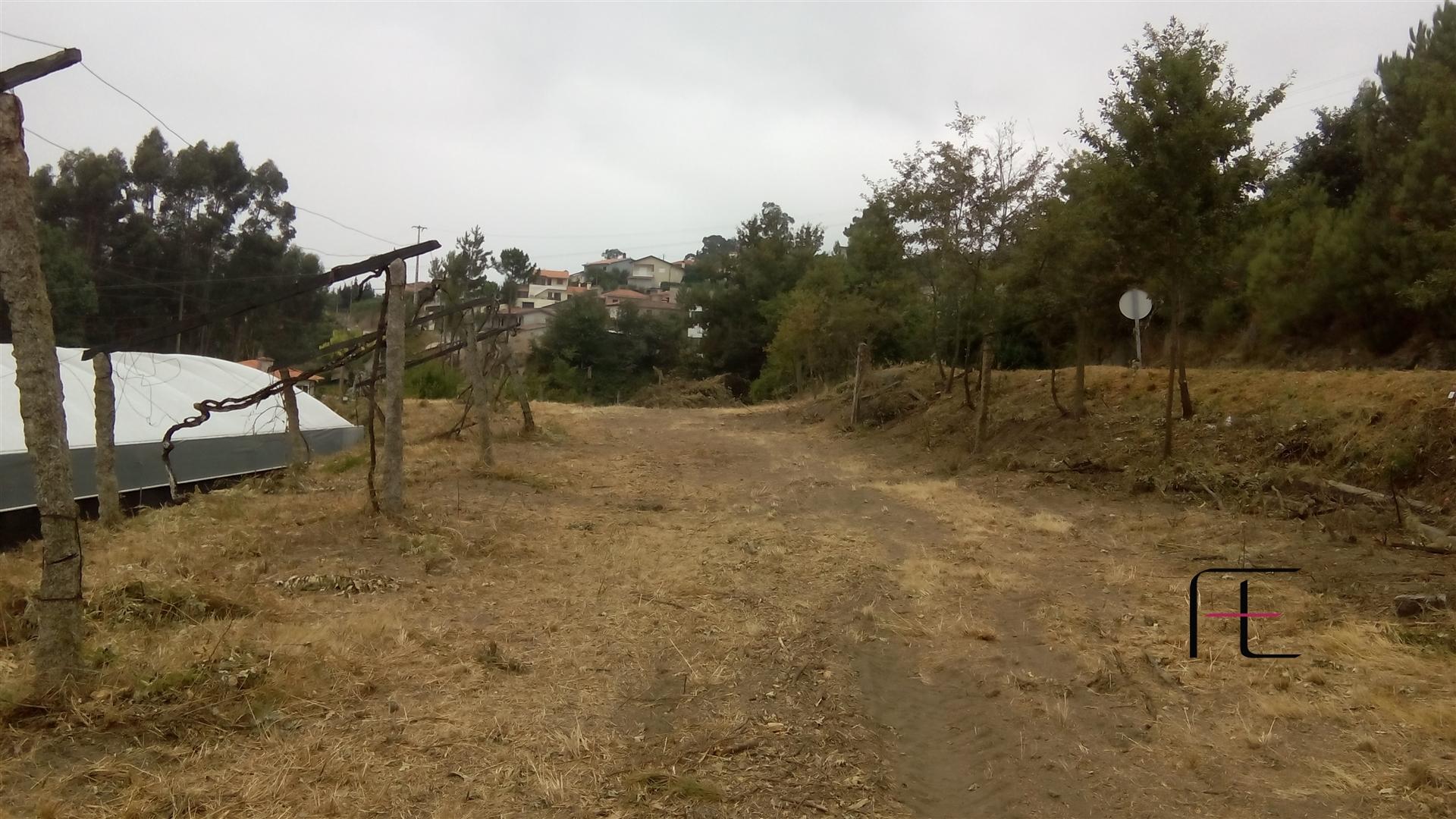 Terreno Para Construção  Venda em Vila Caiz,Amarante