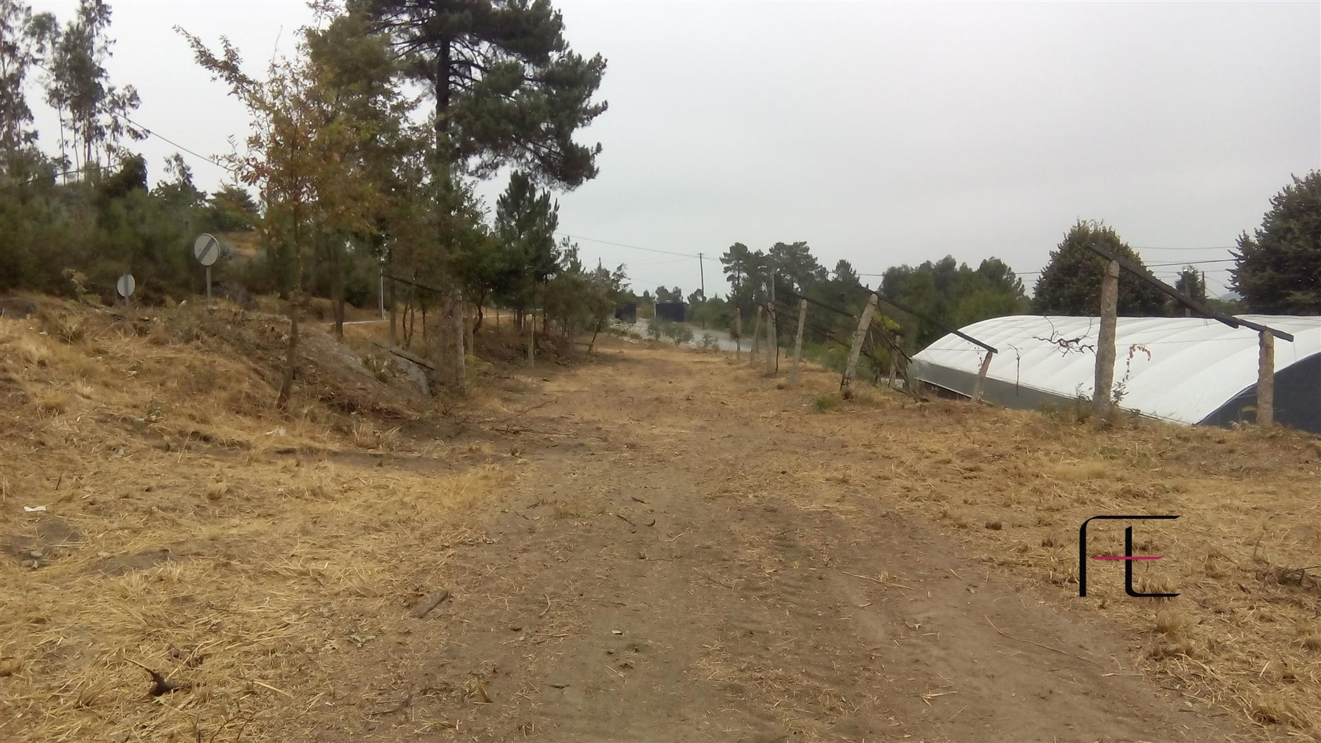 Terreno Para Construção  Venda em Vila Caiz,Amarante