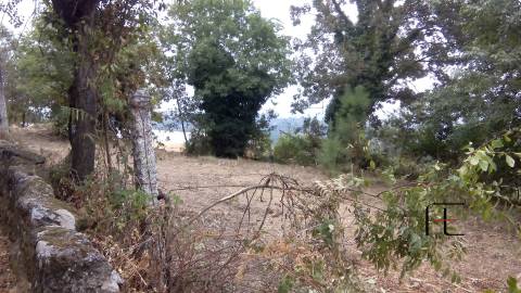 Terreno Para Construção  Venda em Vila Caiz,Amarante