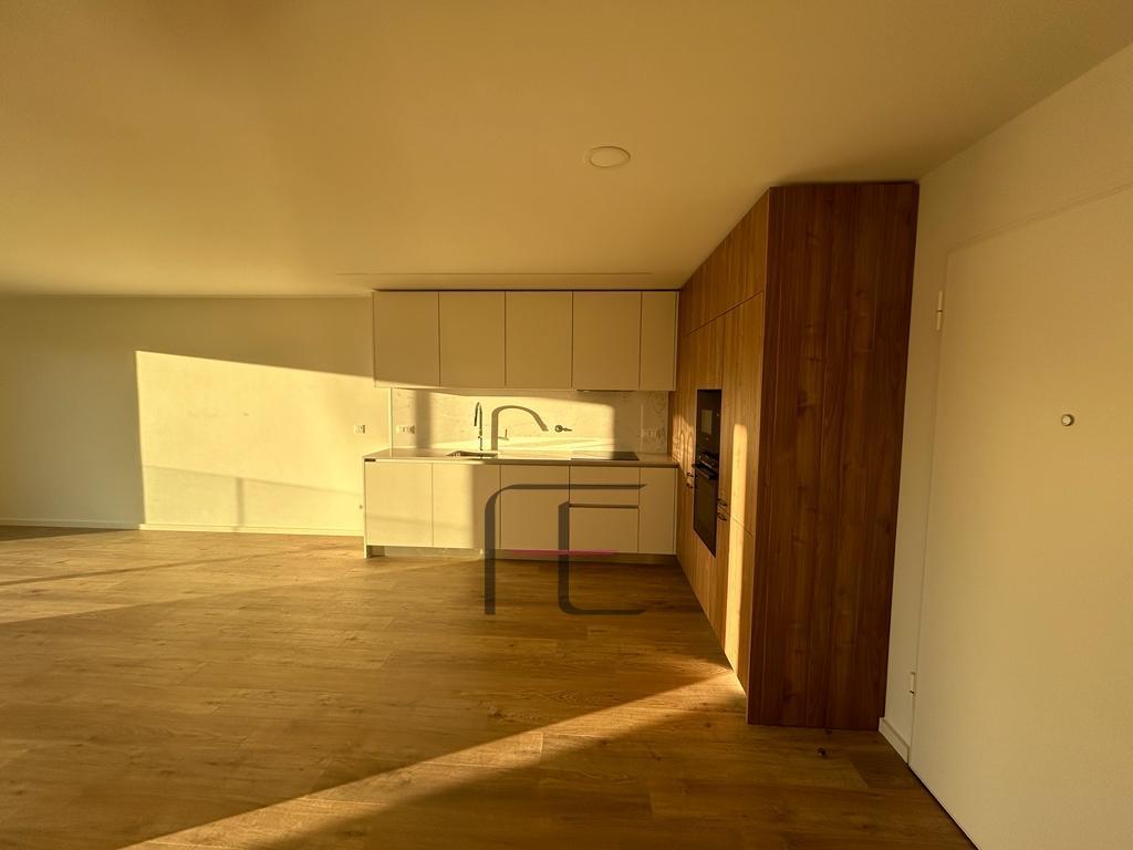Apartamento T1 Arrendamento em Santa Marinha e São Pedro da Afurada,Vila Nova de Gaia