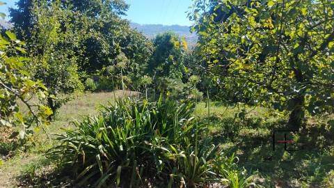 Moradia T6 Venda em Boelhe,Penafiel