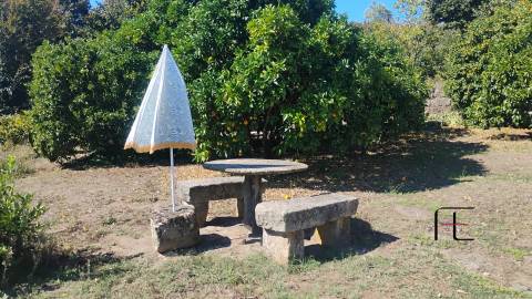 Moradia T6 Venda em Boelhe,Penafiel