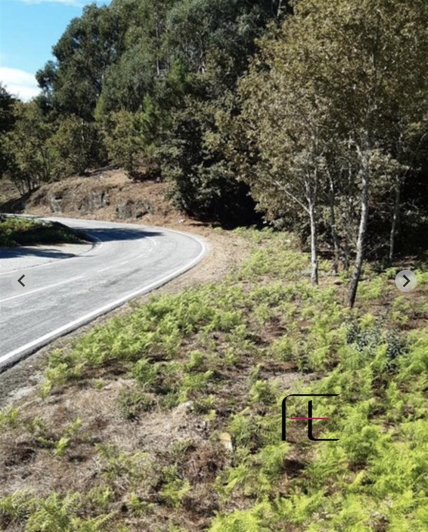 Lote de Terreno  Venda em Campelo e Ovil,Baião
