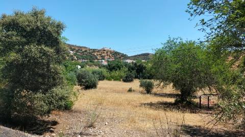 Terreno  Venda em Santa Catarina da Fonte do Bispo,Tavira