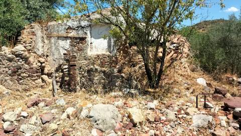 Terreno  Venda em Santa Catarina da Fonte do Bispo,Tavira