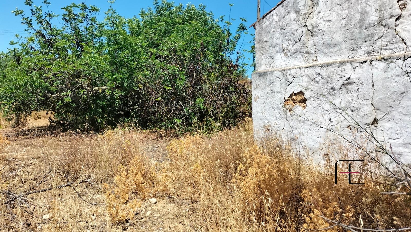 Terreno  Venda em Santa Catarina da Fonte do Bispo,Tavira