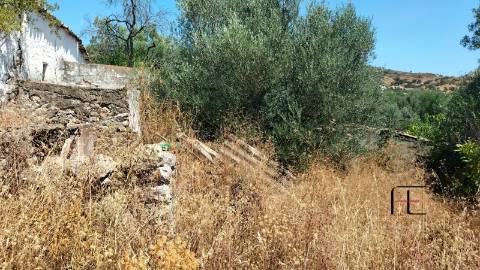 Terreno  Venda em Santa Catarina da Fonte do Bispo,Tavira