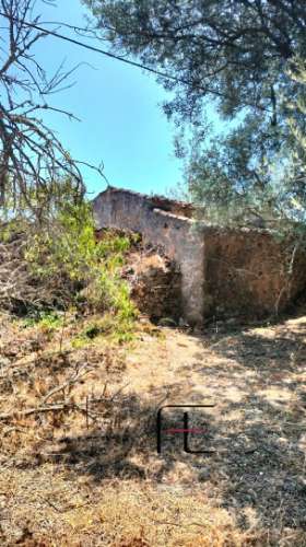 Terreno  Venda em Santa Catarina da Fonte do Bispo,Tavira