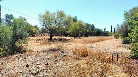 Terreno  Venda em Santa Catarina da Fonte do Bispo,Tavira