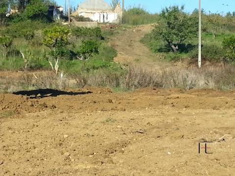 Quinta T3 Venda em Santarém (Marvila), Santa Iria da Ribeira de Santarém, Santarém (São Salvador) e Santarém (São Nicolau),Santarém