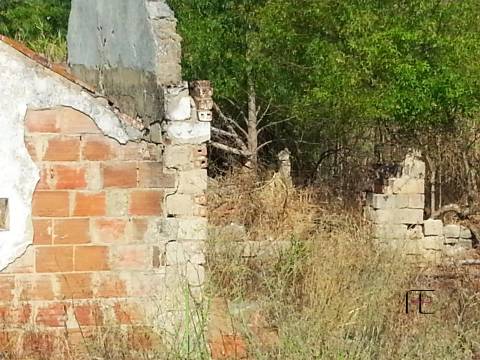 Quinta T3 Venda em Santarém (Marvila), Santa Iria da Ribeira de Santarém, Santarém (São Salvador) e Santarém (São Nicolau),Santarém