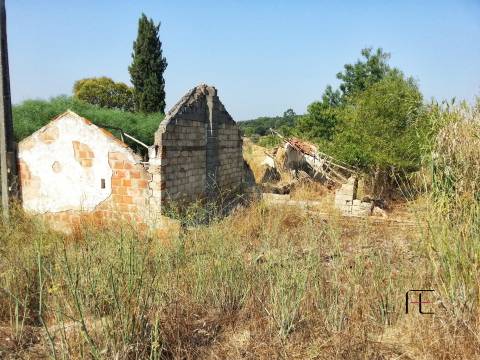 Quinta T3 Venda em Santarém (Marvila), Santa Iria da Ribeira de Santarém, Santarém (São Salvador) e Santarém (São Nicolau),Santarém