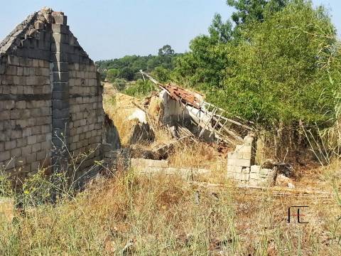 Quinta T3 Venda em Santarém (Marvila), Santa Iria da Ribeira de Santarém, Santarém (São Salvador) e Santarém (São Nicolau),Santarém