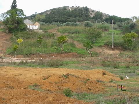 Quinta T3 Venda em Santarém (Marvila), Santa Iria da Ribeira de Santarém, Santarém (São Salvador) e Santarém (São Nicolau),Santarém