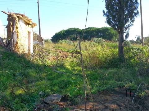 Quinta T3 Venda em Santarém (Marvila), Santa Iria da Ribeira de Santarém, Santarém (São Salvador) e Santarém (São Nicolau),Santarém