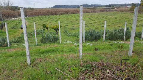 Quinta T3 Venda em Santarém (Marvila), Santa Iria da Ribeira de Santarém, Santarém (São Salvador) e Santarém (São Nicolau),Santarém