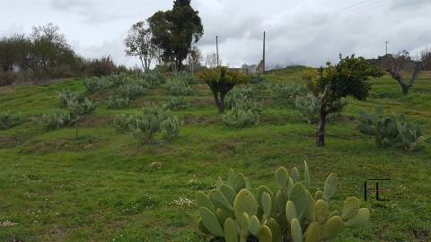 Quinta T3 Venda em Santarém (Marvila), Santa Iria da Ribeira de Santarém, Santarém (São Salvador) e Santarém (São Nicolau),Santarém